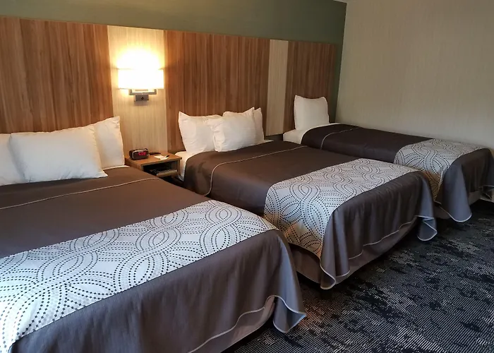 Motel: Aartpark Hotel Inn At Lewsiton